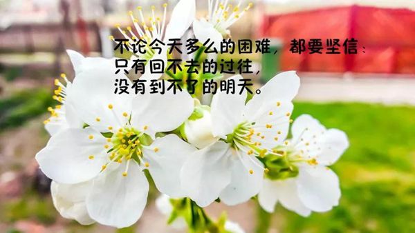 经典哲理说说句子