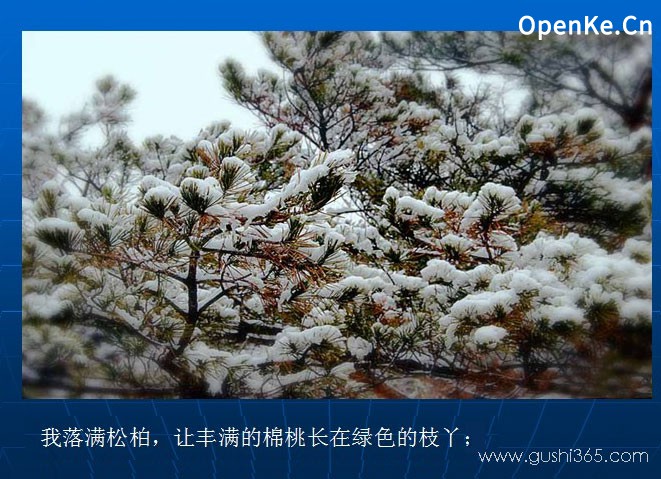 大班语言活动：小雪花