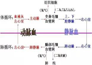 初中生物必考知识点汇总，中考30分全在这里了！